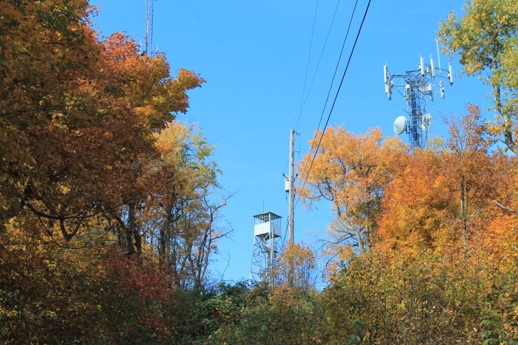 Photo: The Firetower