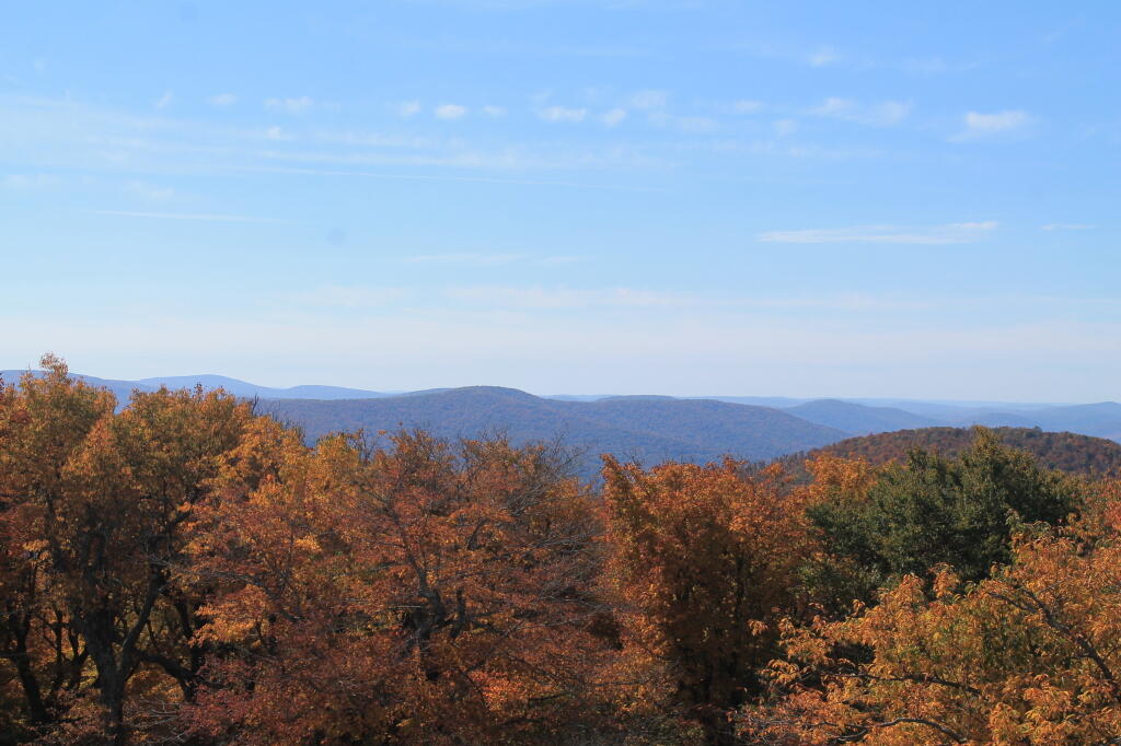 Photo: Looking South