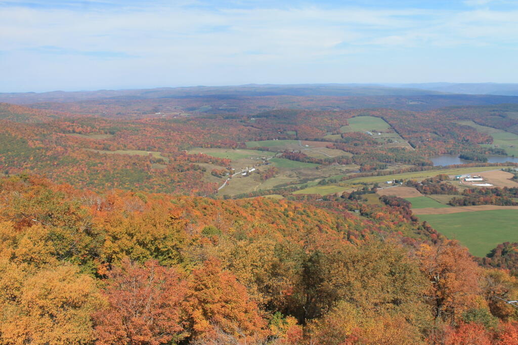 Photo: North Towards Burnt Rossman State Forest