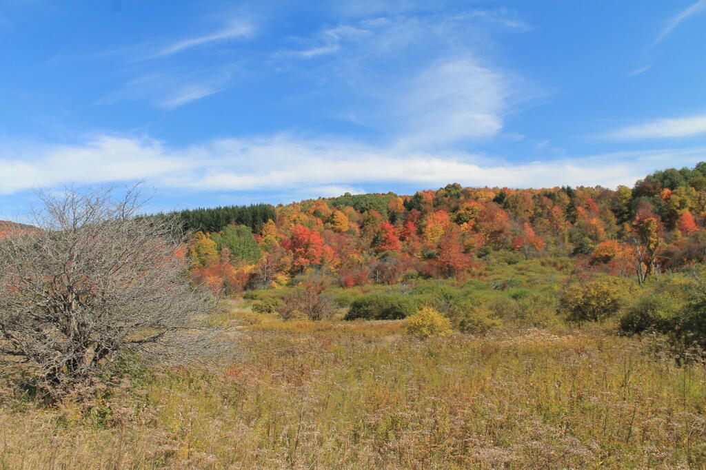 Photo: At Peak Color