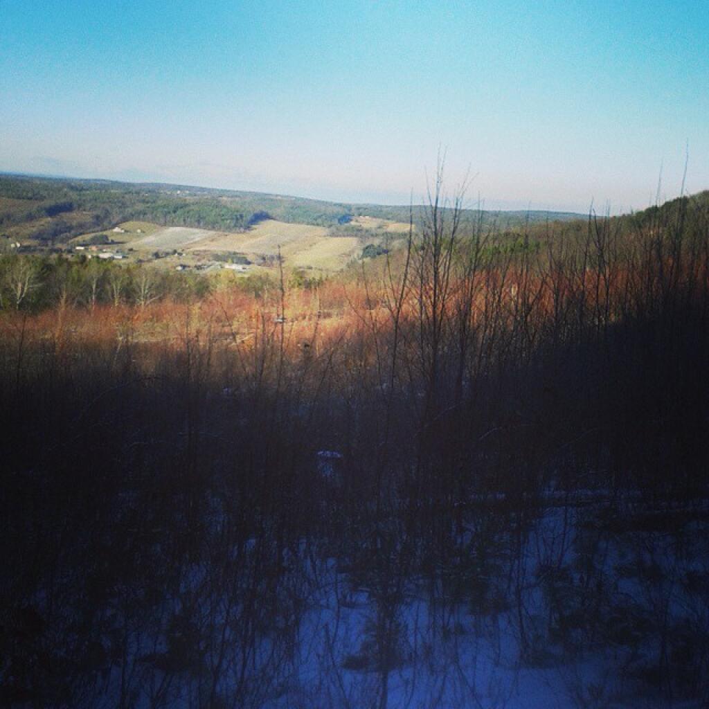 Photo: View Off Cole Hill
