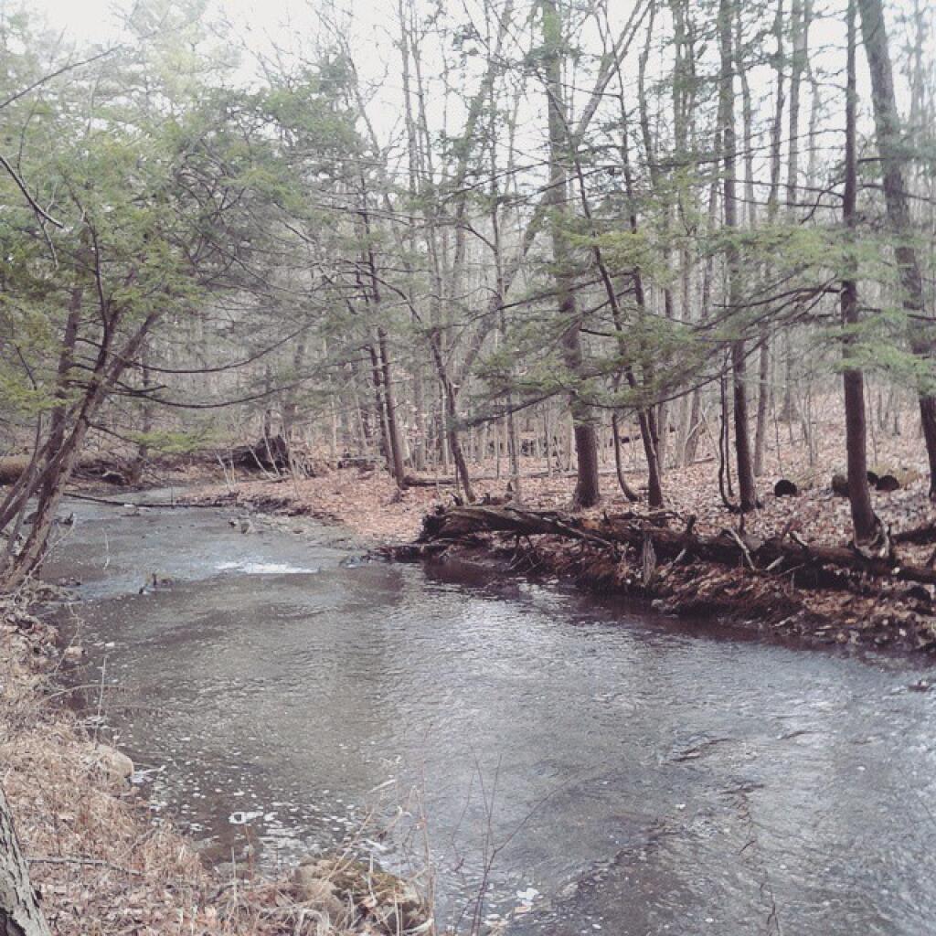 Photo: Not a drop of ice on the Vlomans Kill