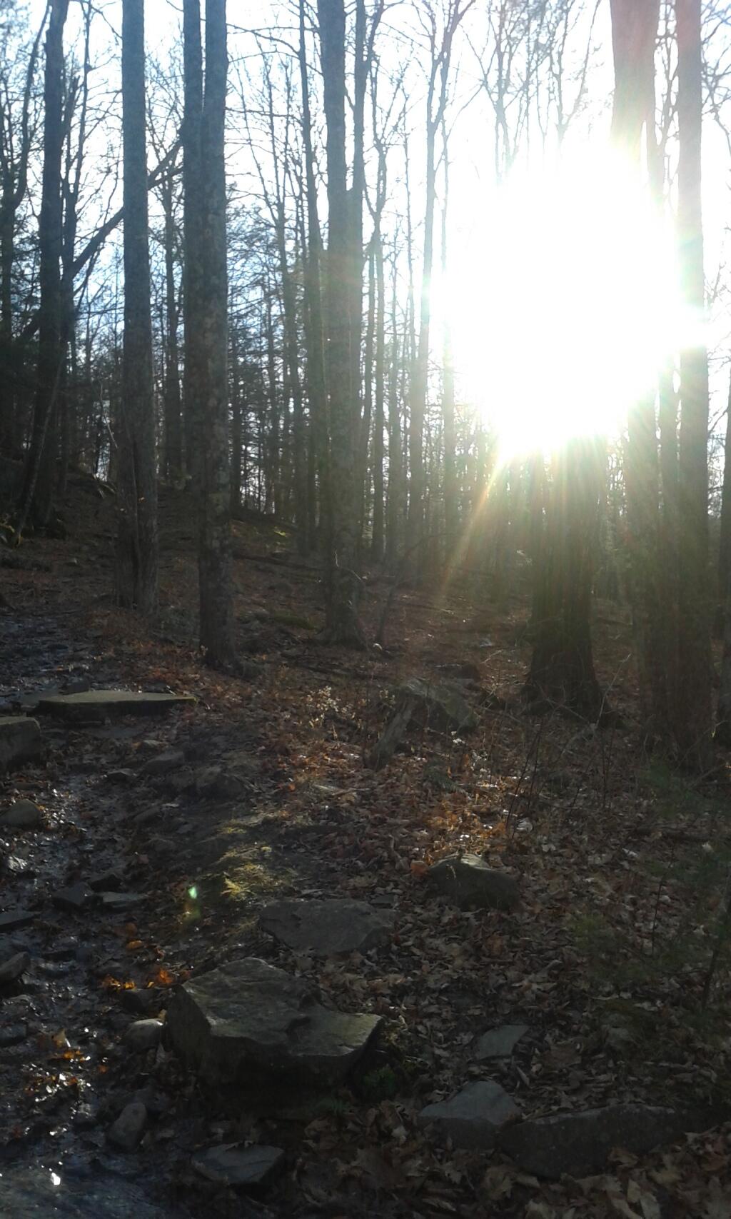 Photo: Low Hanging Sun