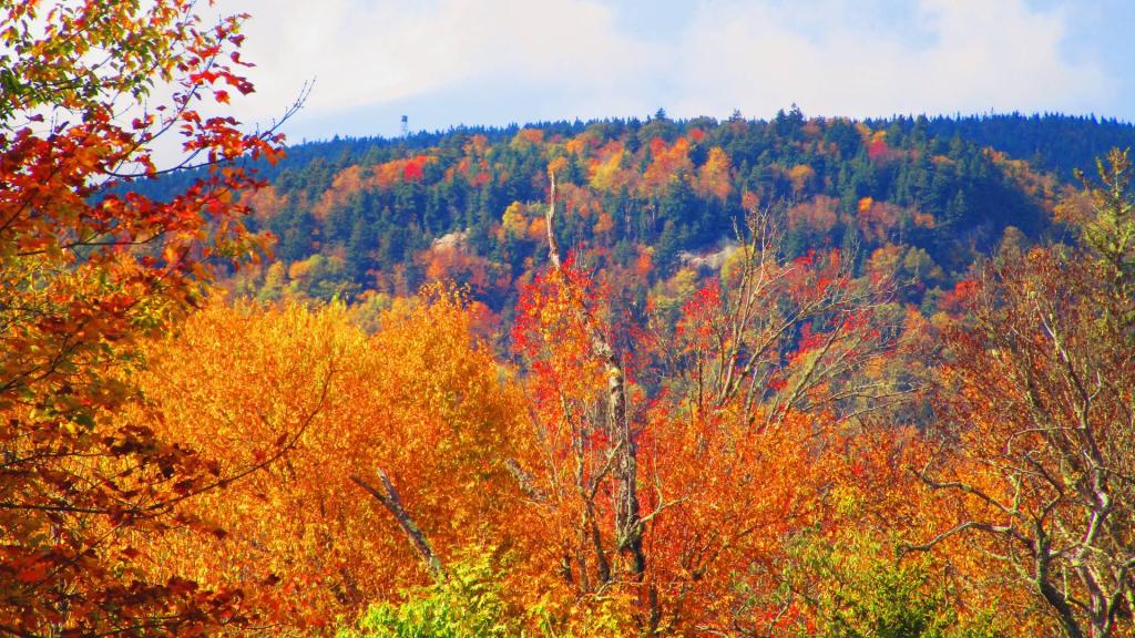 Photo: Pillsbury Mountain