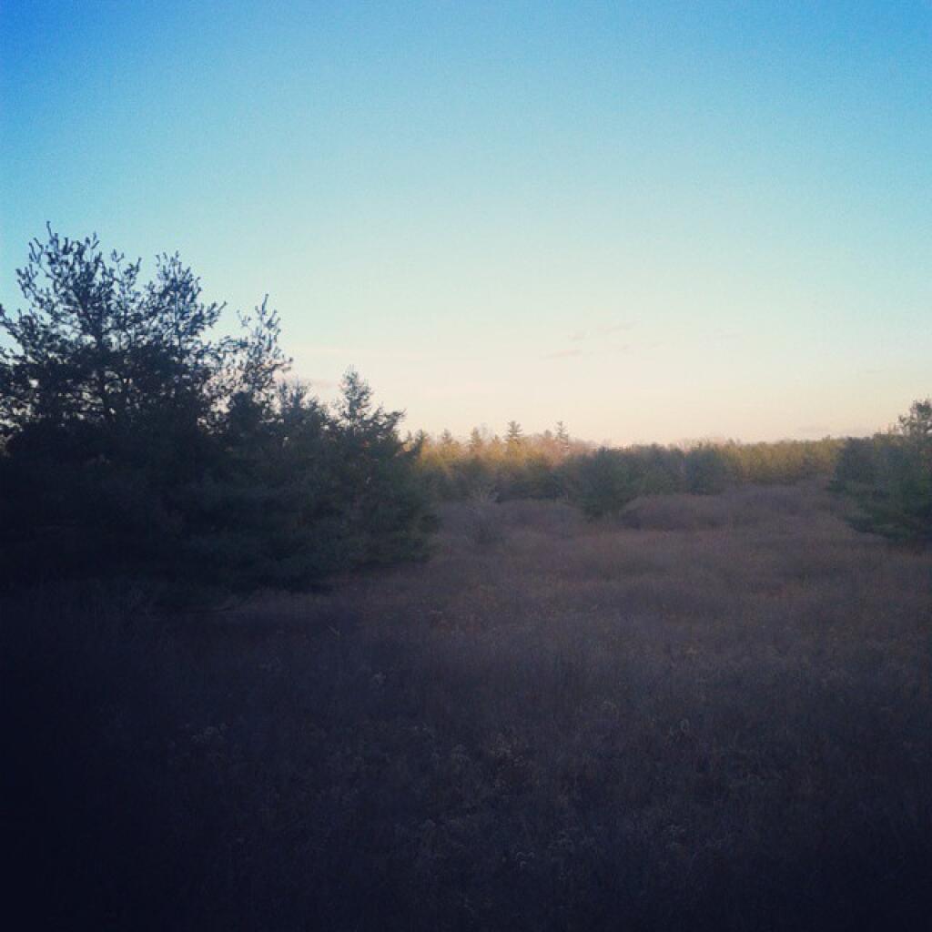 Photo: Distant light