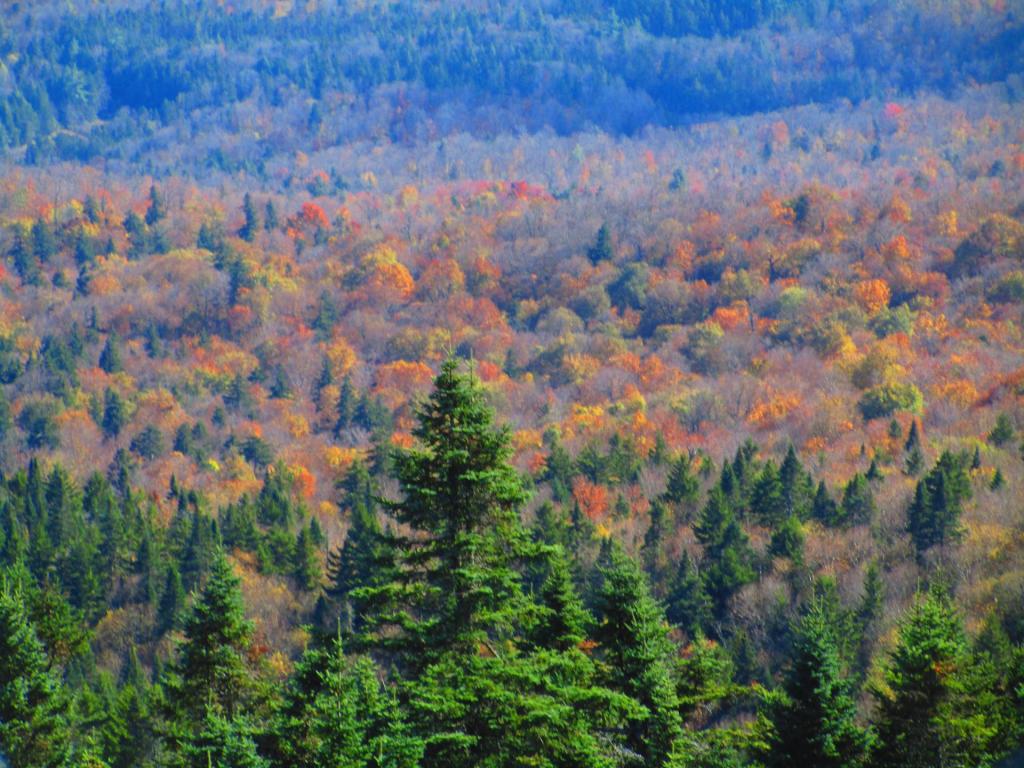 Photo: Remaining colors