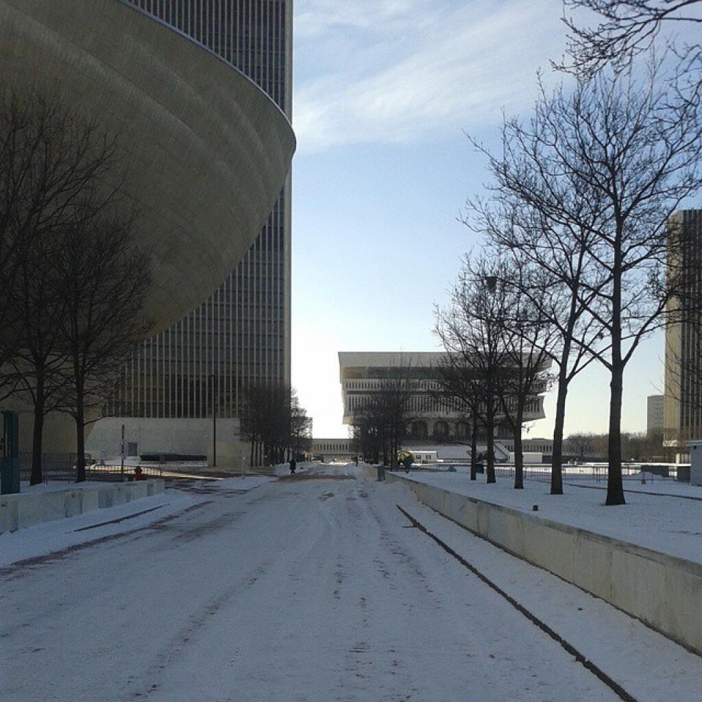 Photo: January in Albany