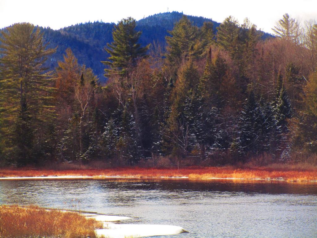 Photo: Goodnow Mountain Photo: Goodnow Mountain