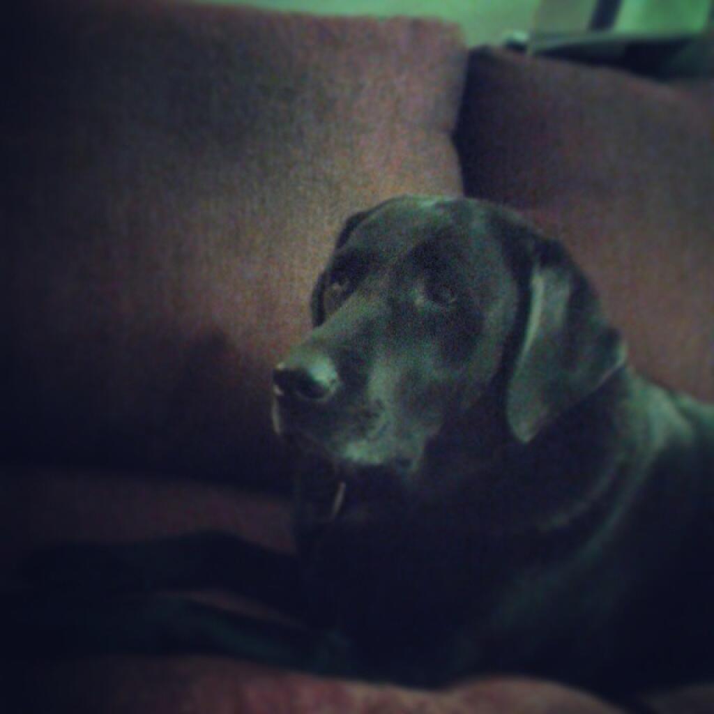 Photo: Abbie