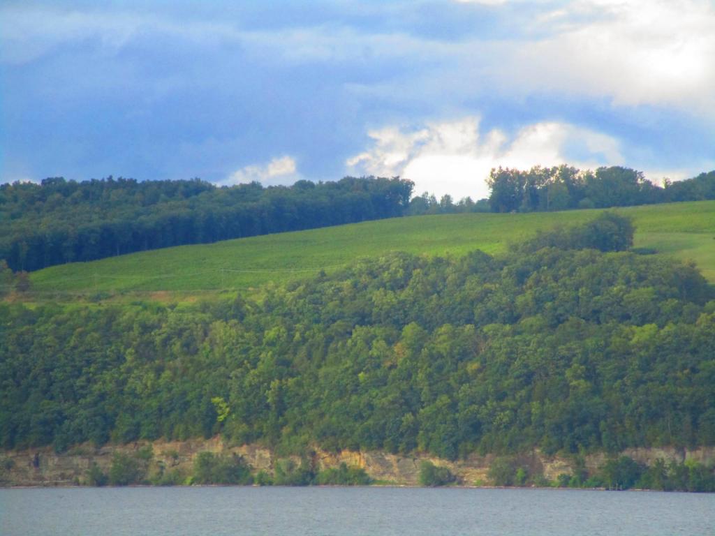 Photo: Wineries above Hector Cliffs