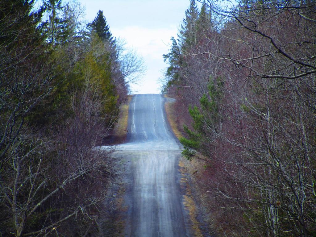 Photo: High Point Road in Mud Season