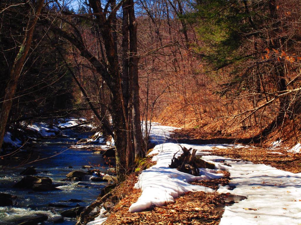 Photo: Switzkill Along Old Partridge Run Road