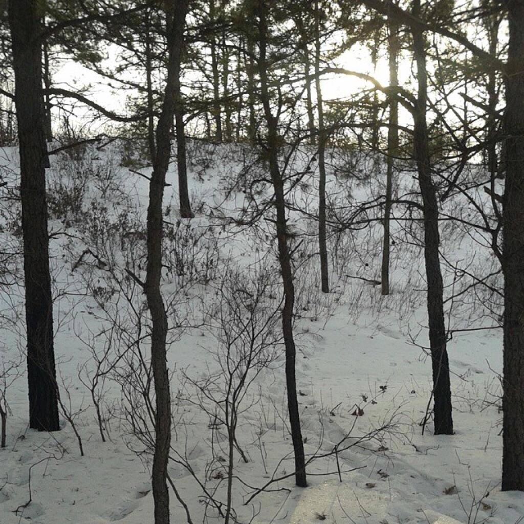 Photo: Undisclosed location looking for sheds probably not going to find in deep snow