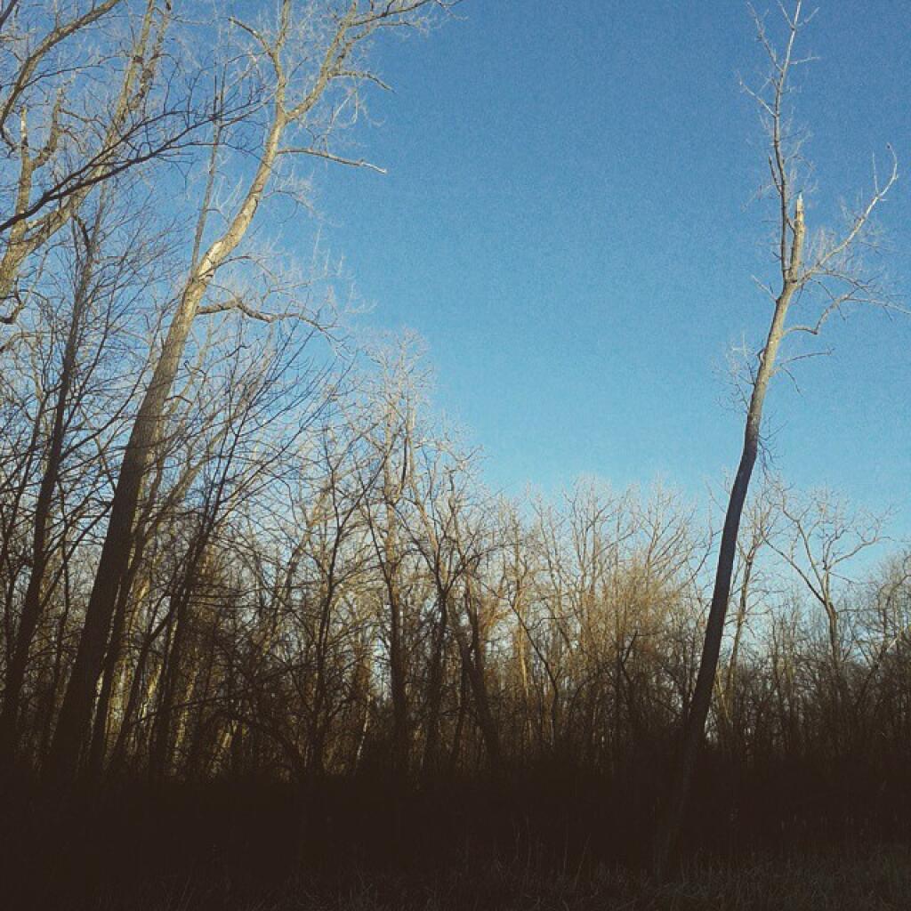 Photo: Evening sky
