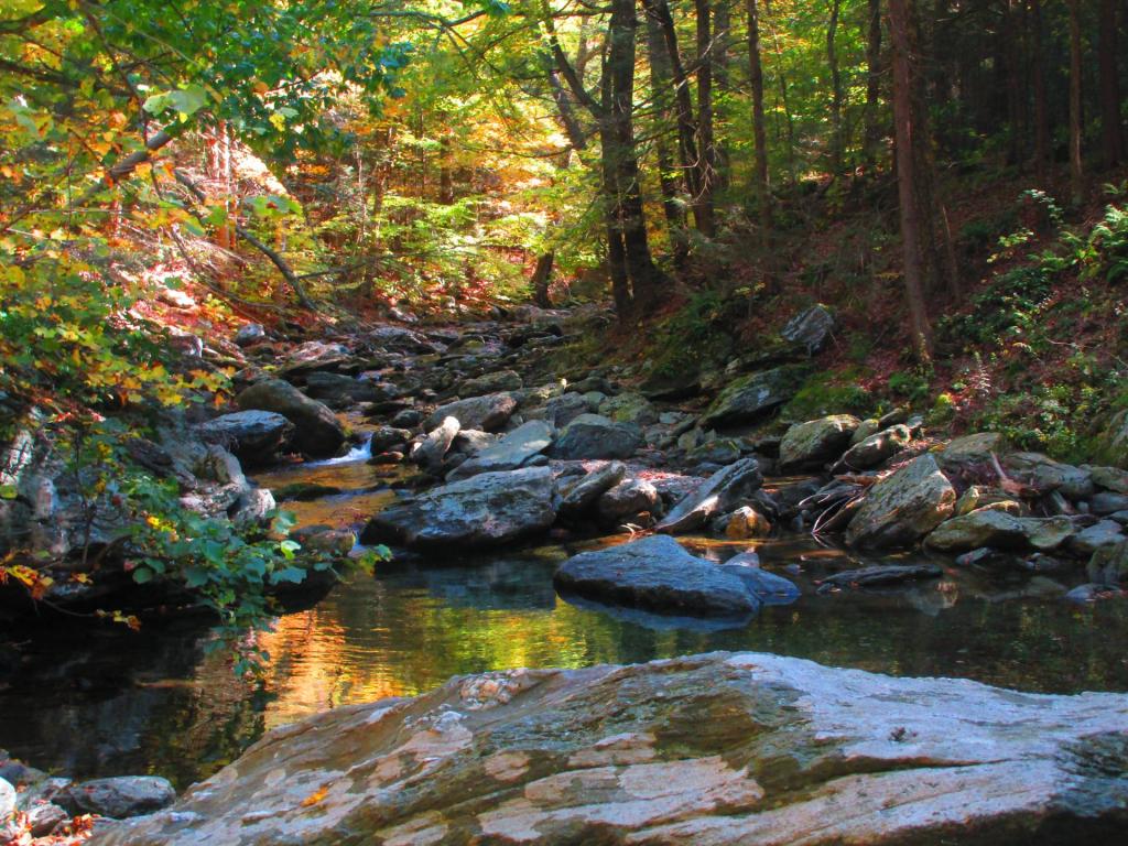 Photo: Bash Bish Creek Photo: Bash Bish Creek