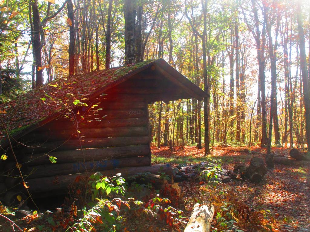 Photo: Chance of Thunder Lean-To Photo: Chance of Thunder Lean-To
