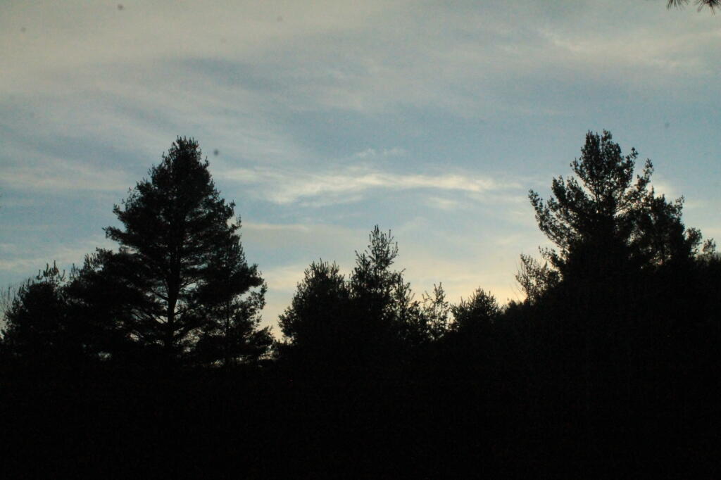 Photo: Dusk