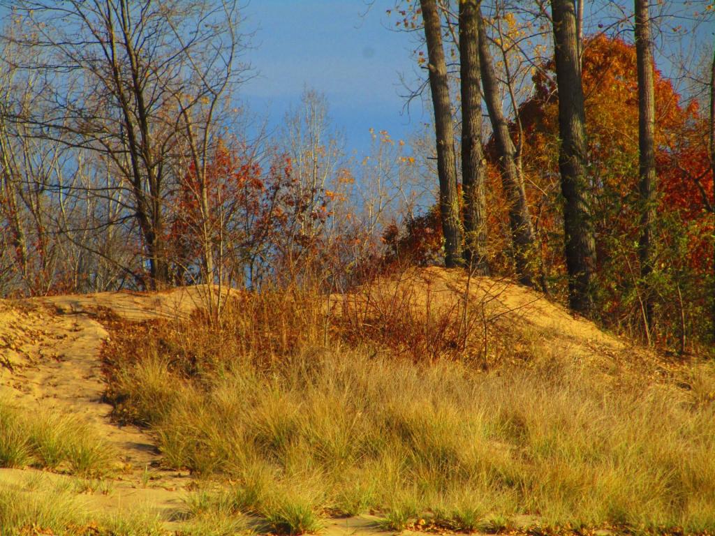 Photo: Sand Dunes Along Lake Champlain Photo: Sand Dunes Along Lake Champlain