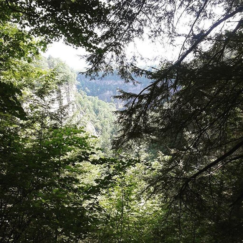 Photo: Into the lower gorge