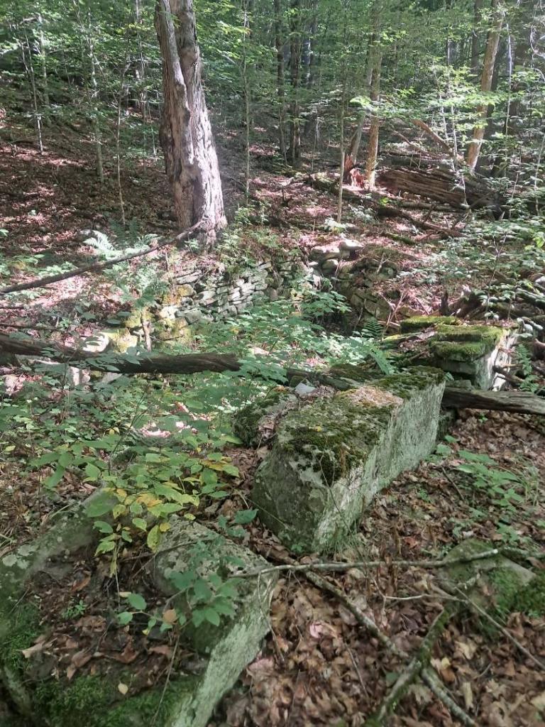 Photo: Old Saw Mill Foundation
