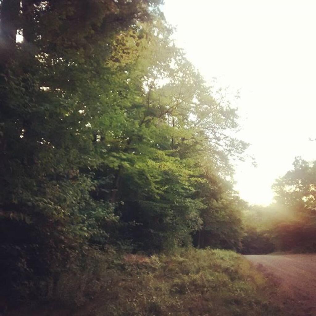 Photo: Good morning!