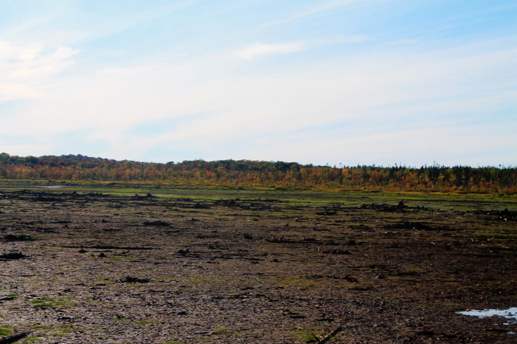 Photo: Normally Beautiful Whetstone Reservior Is Just Mud Flats