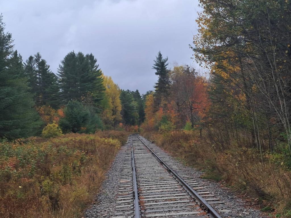 Photo: Adirondack Scenic Railroad
