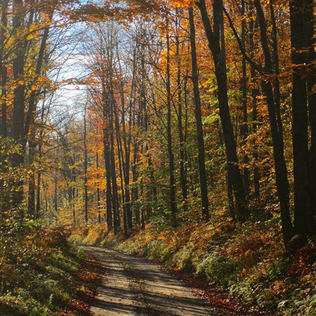 Photo: Narrow but nice road