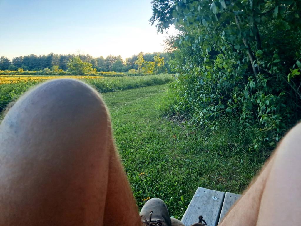 Photo: View [Expires June 23 2026]