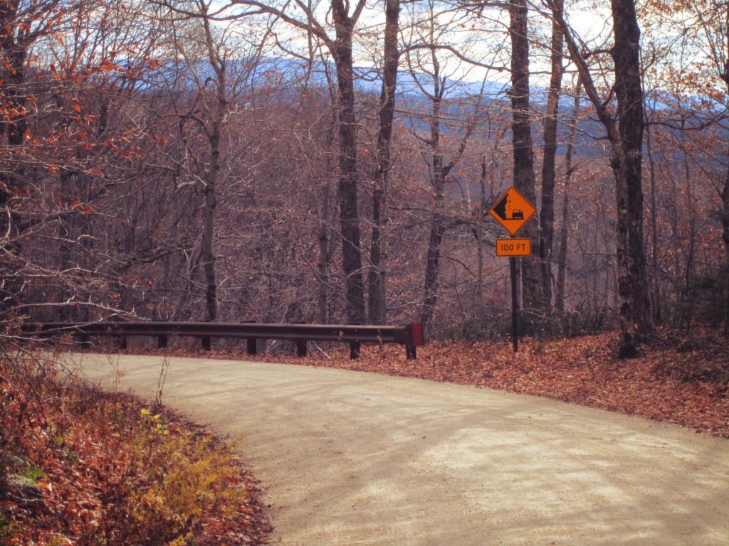 Photo: Forest Road 10