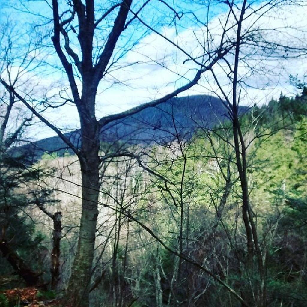 Photo: Bear Mountain