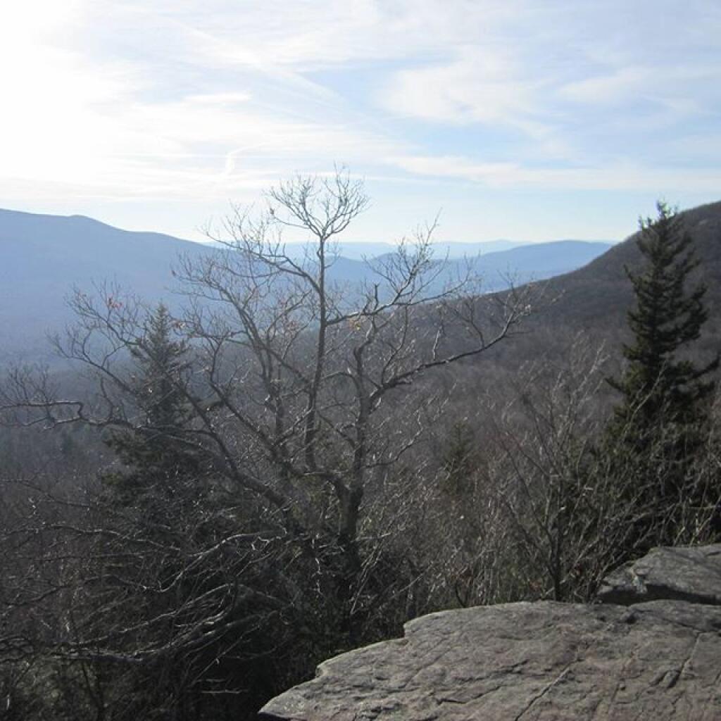 Photo: Looking West