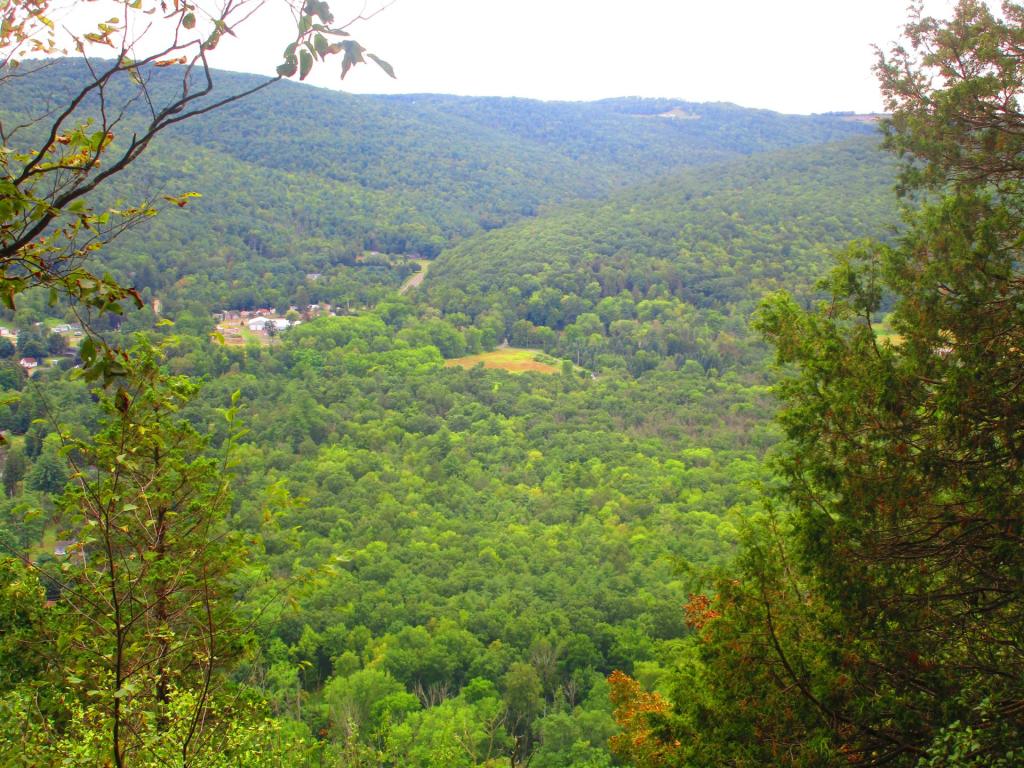 Photo: Hendry Creek Valley