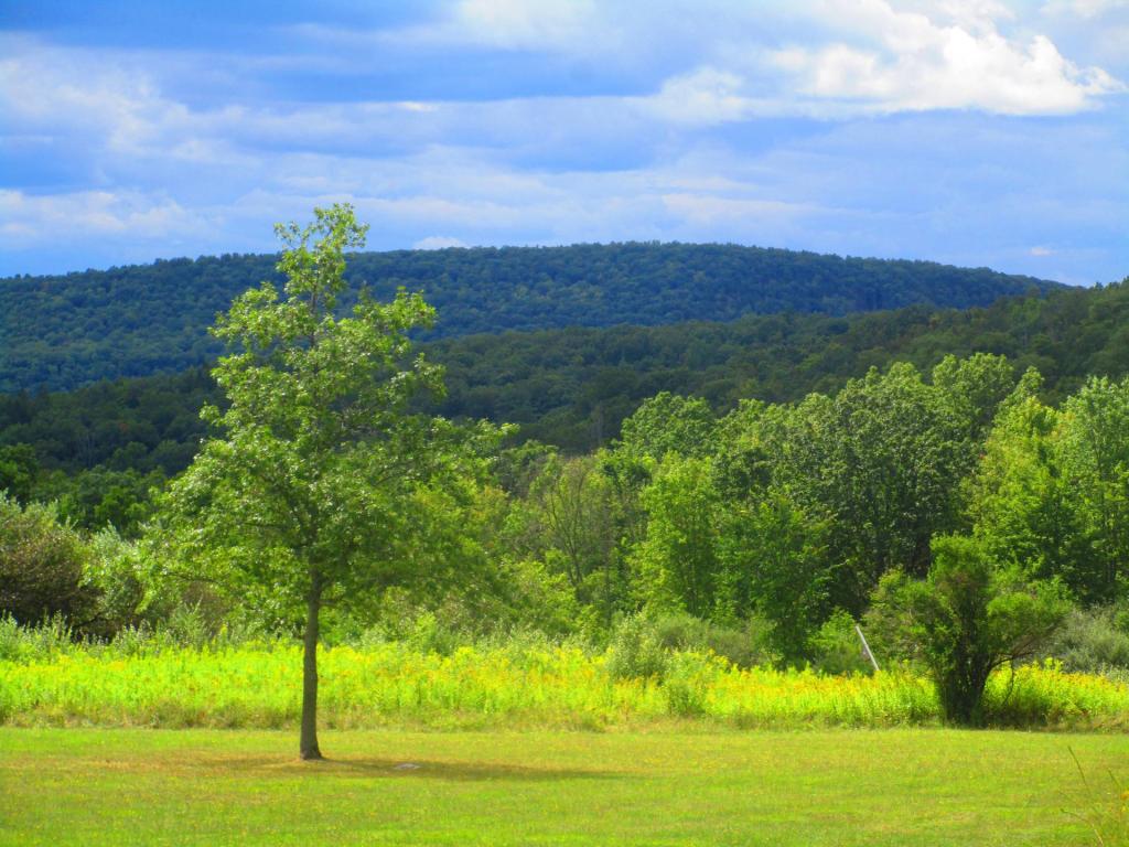 Photo: Field