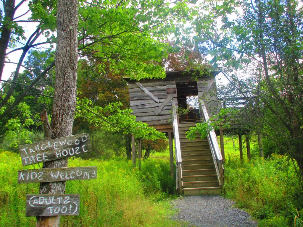 Photo: Tree House