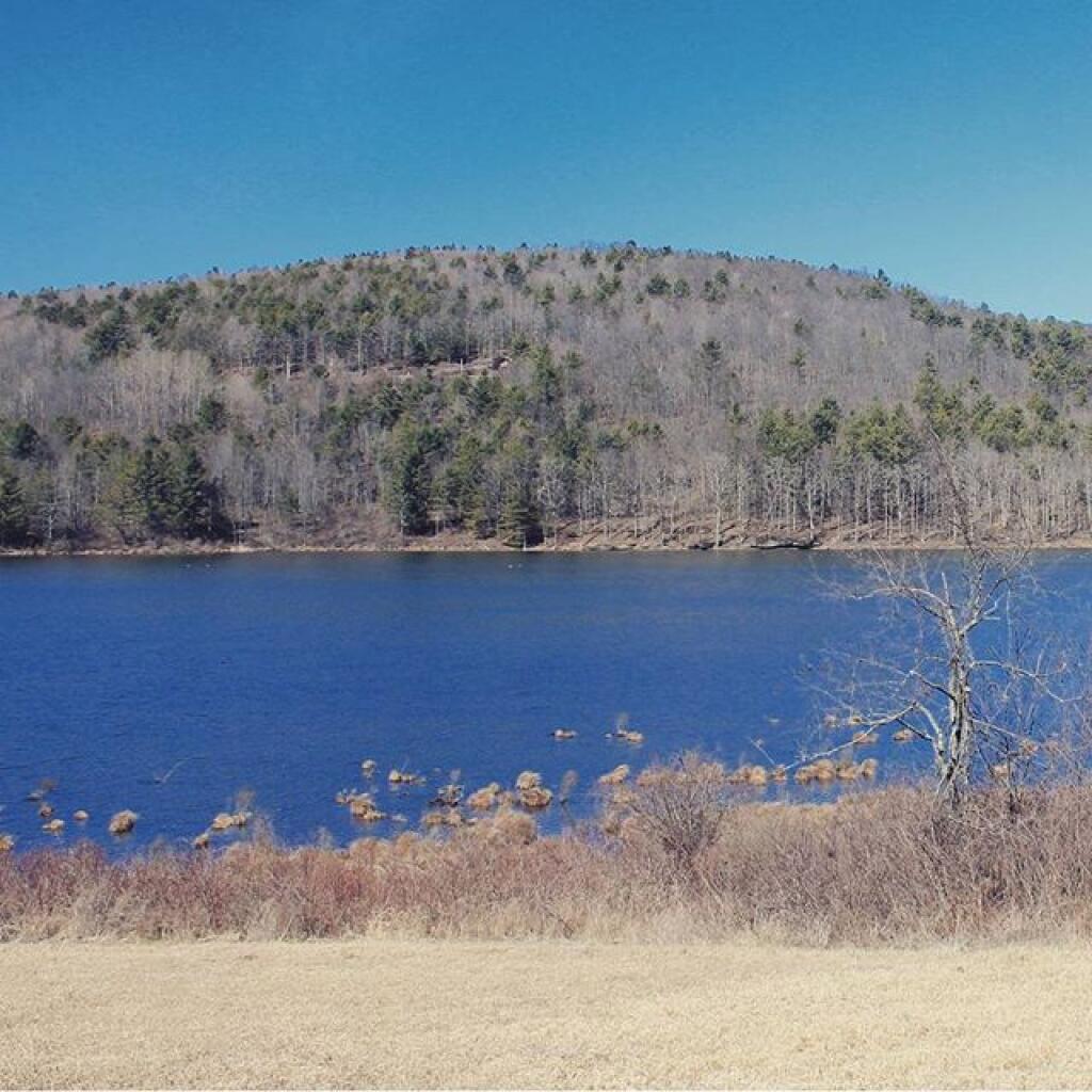 Photo: Towards Stone Store State Forest