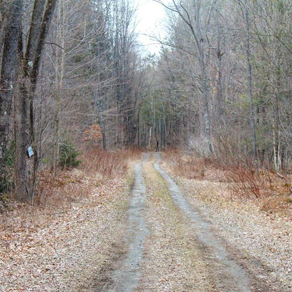 Photo: Betty Brook Road wasn't too muddy