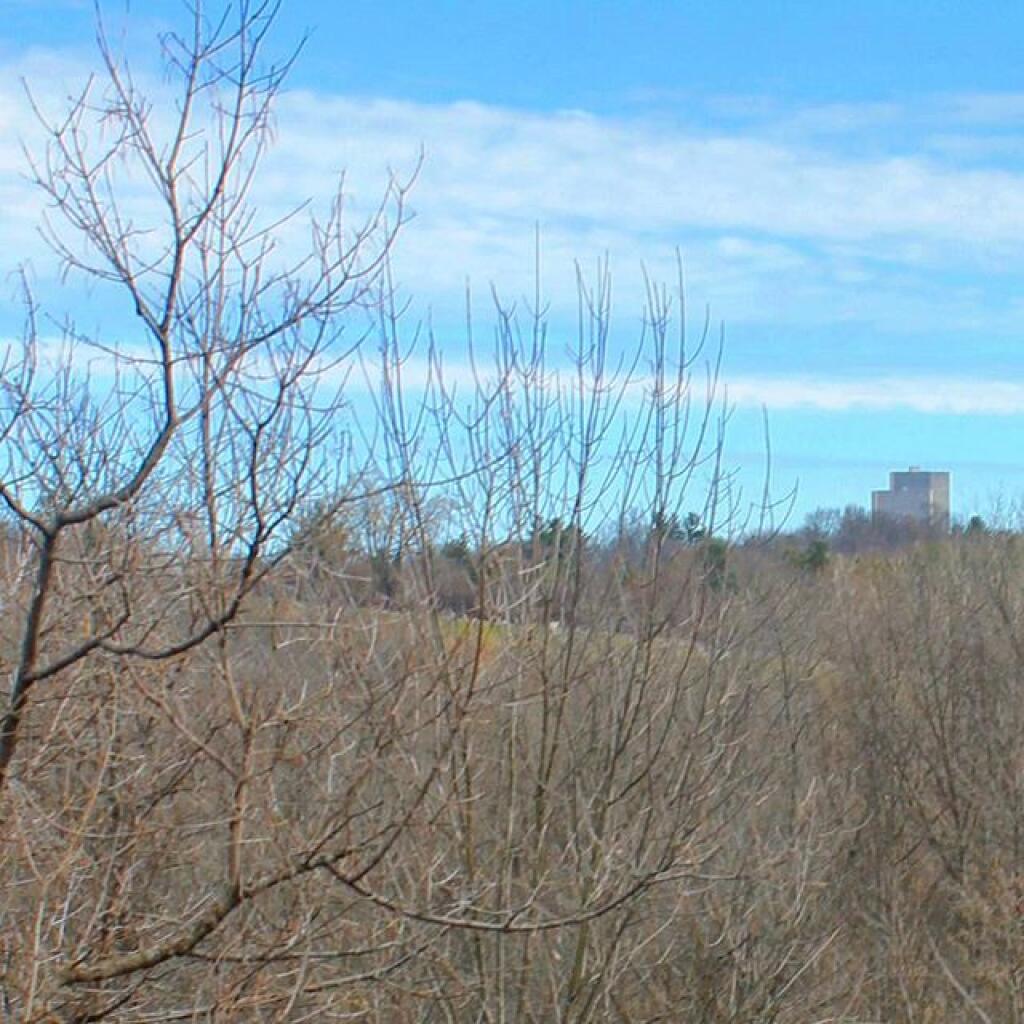 Photo: Corning Tower Photo: Corning Tower