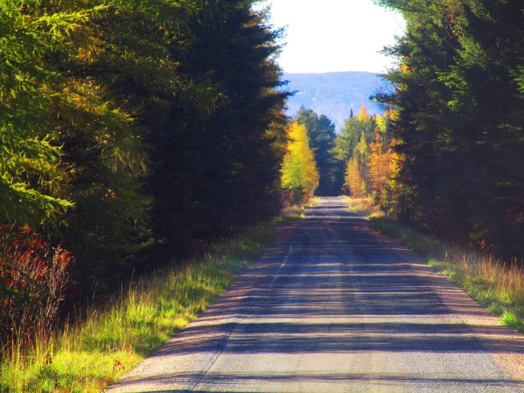 Photo: A Few Miles North of Tupper