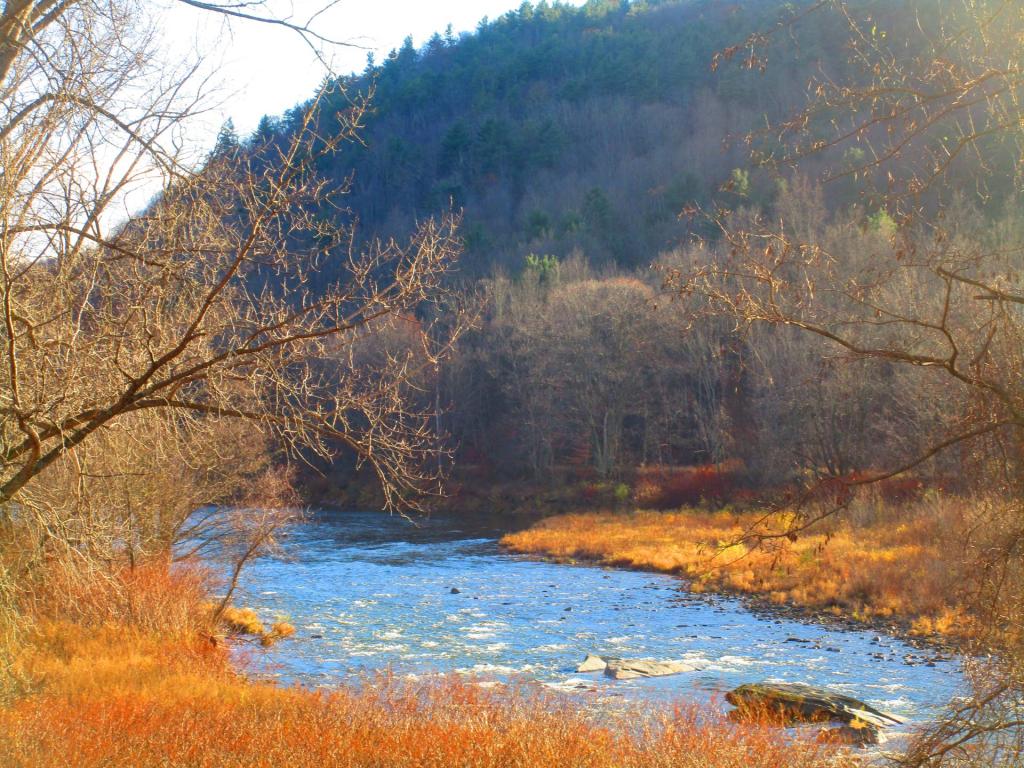 Photo: Schoharie Creek Photo: Schoharie Creek