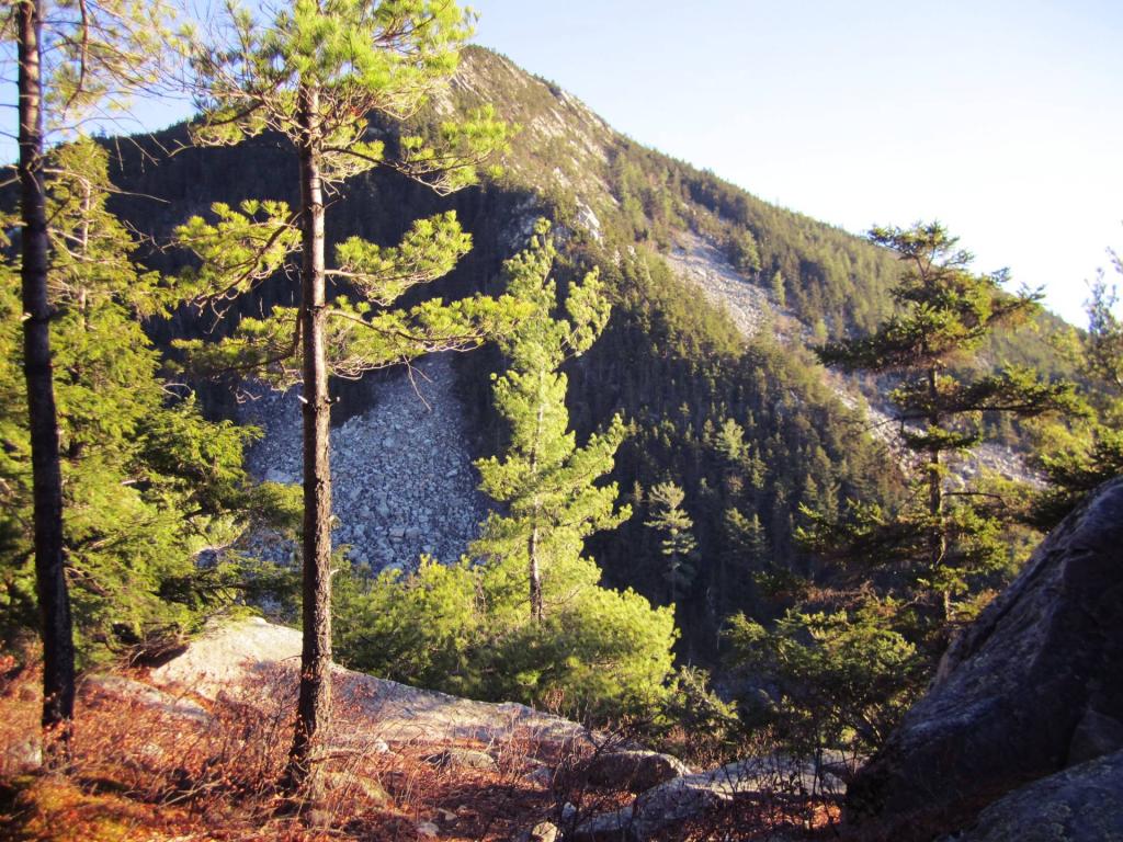 Photo: Boulder Field