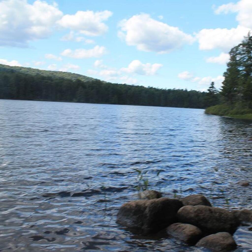 Photo: Shore of Bubb Lake