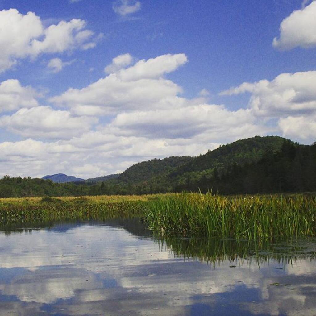 Photo: Rift Hill