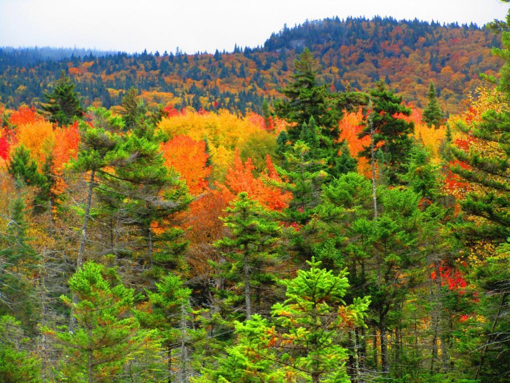 Photo: Pillsbury Mountain