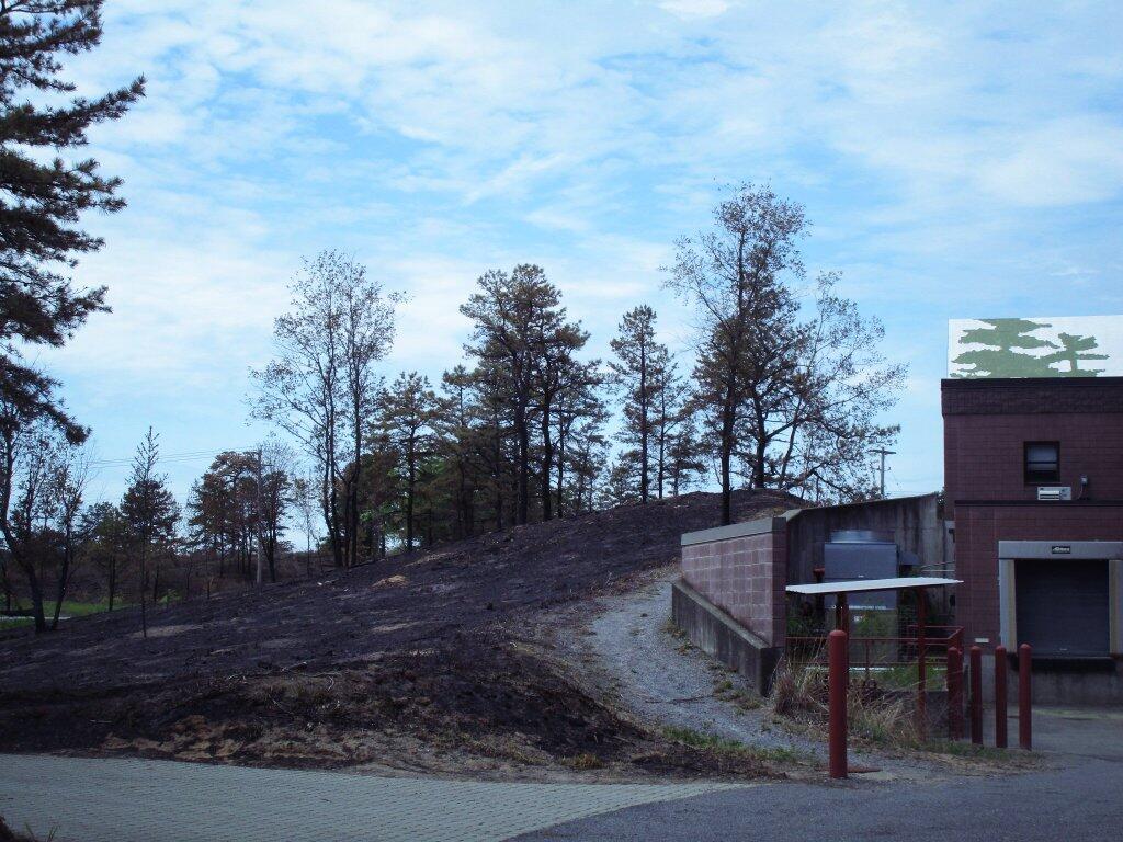 Photo: Controlled Burn Right Up To The Discovery Center