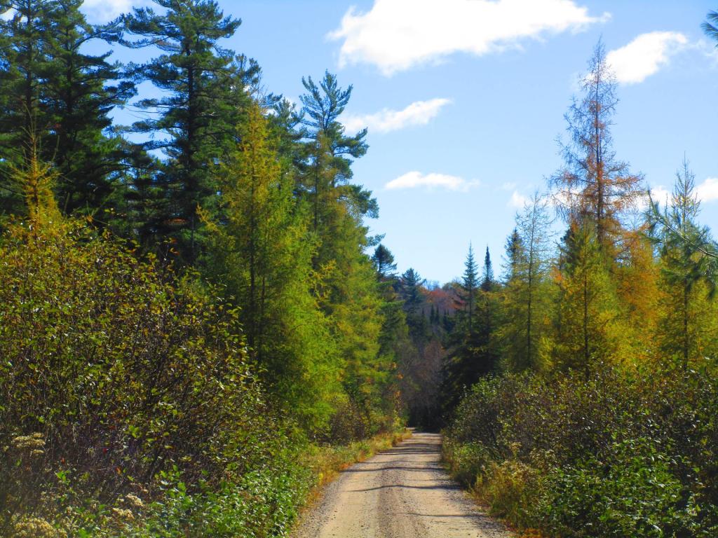 Photo: DEC Maintained Section of Horseshoe Lake Road