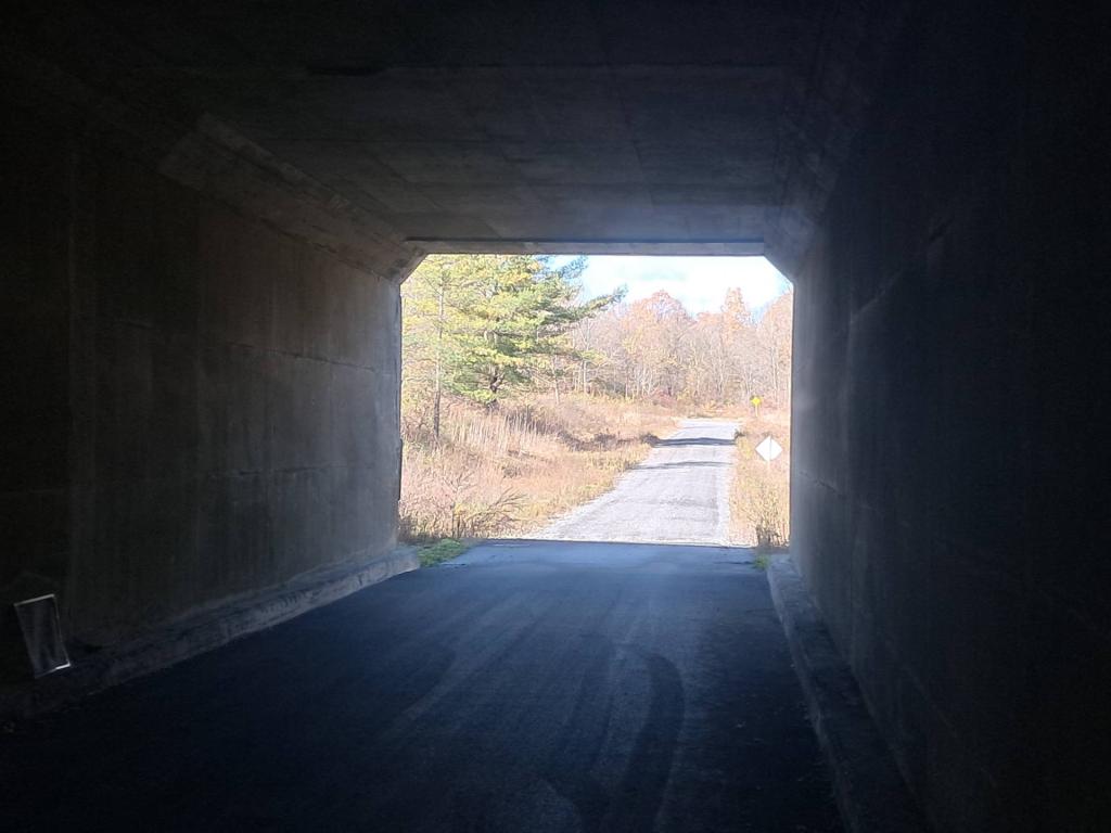 Photo: Under the Thruway