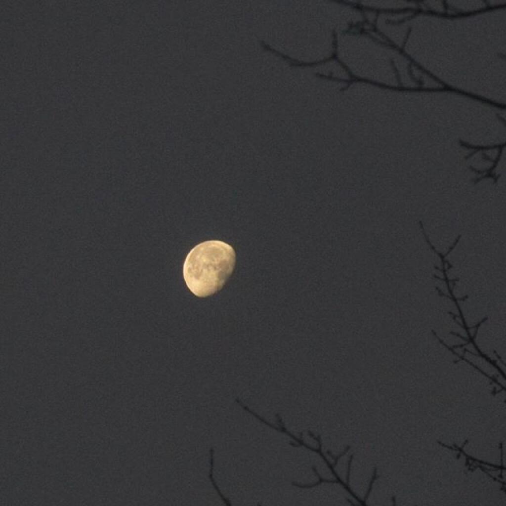 Photo: The moon early Friday morning Photo: The moon early Friday morning