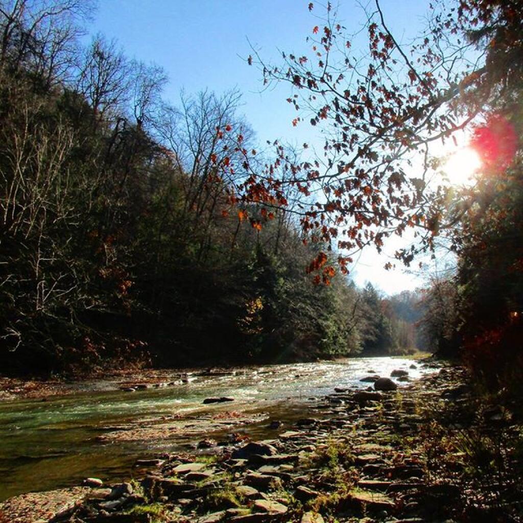 Photo: South Branch of the Cattaraugus Creek