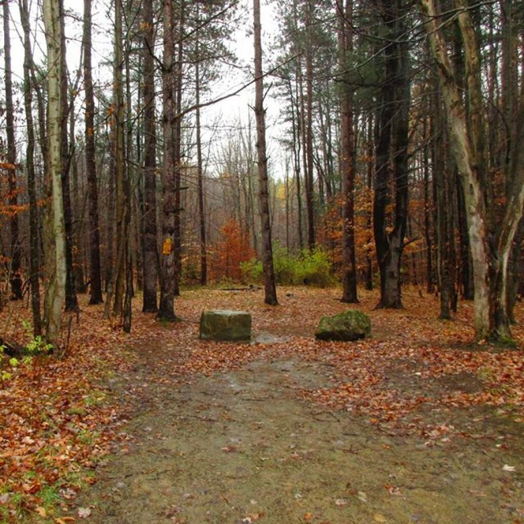 Photo: Campsite on West Hill Road